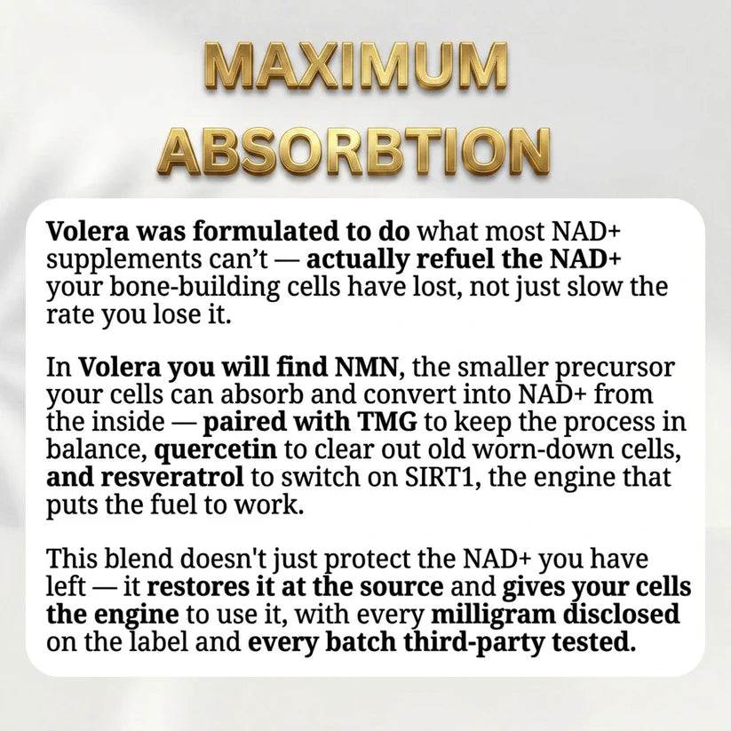 Volera NMN Bone Complex