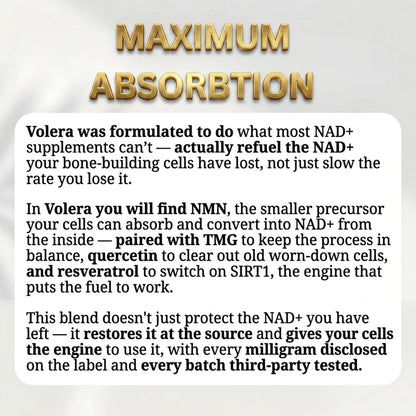 Volera NMN Bone Complex
